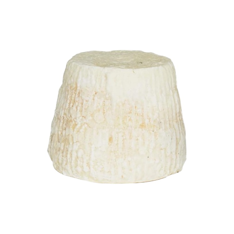 RICOTTINA SALÉE