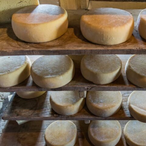 FROMAGE TOMA PIEMONTESE DOP 2