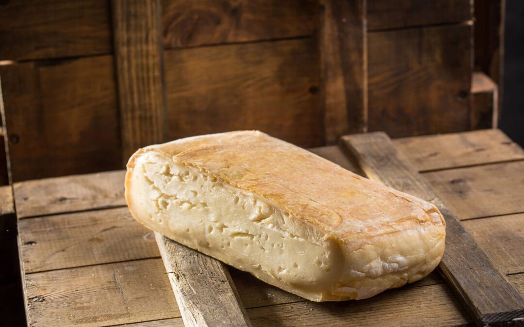 What is Taleggio Cheese? Origin, Nutritional Values and Recipes